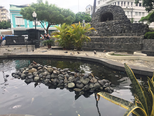 Sitios gratis para visitar en Guayaquil