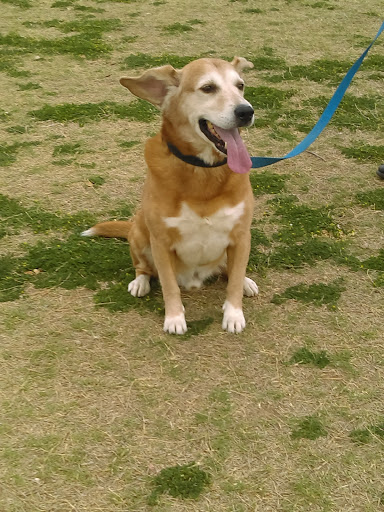 Park «Glendale Heroes Regional Park», reviews and photos, 83 W Bethany Home Rd, Glendale, AZ 85303, USA