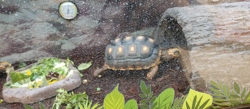 Pet Supply Store «Petco Animal Supplies», reviews and photos, 5843 N Elizabeth St, Pueblo, CO 81008, USA