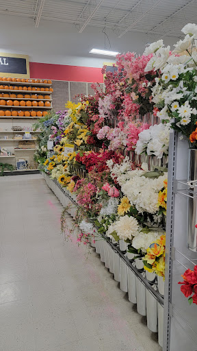 Craft Store «Michaels», reviews and photos, 20902 Frederick Rd, Germantown, MD 20876, USA