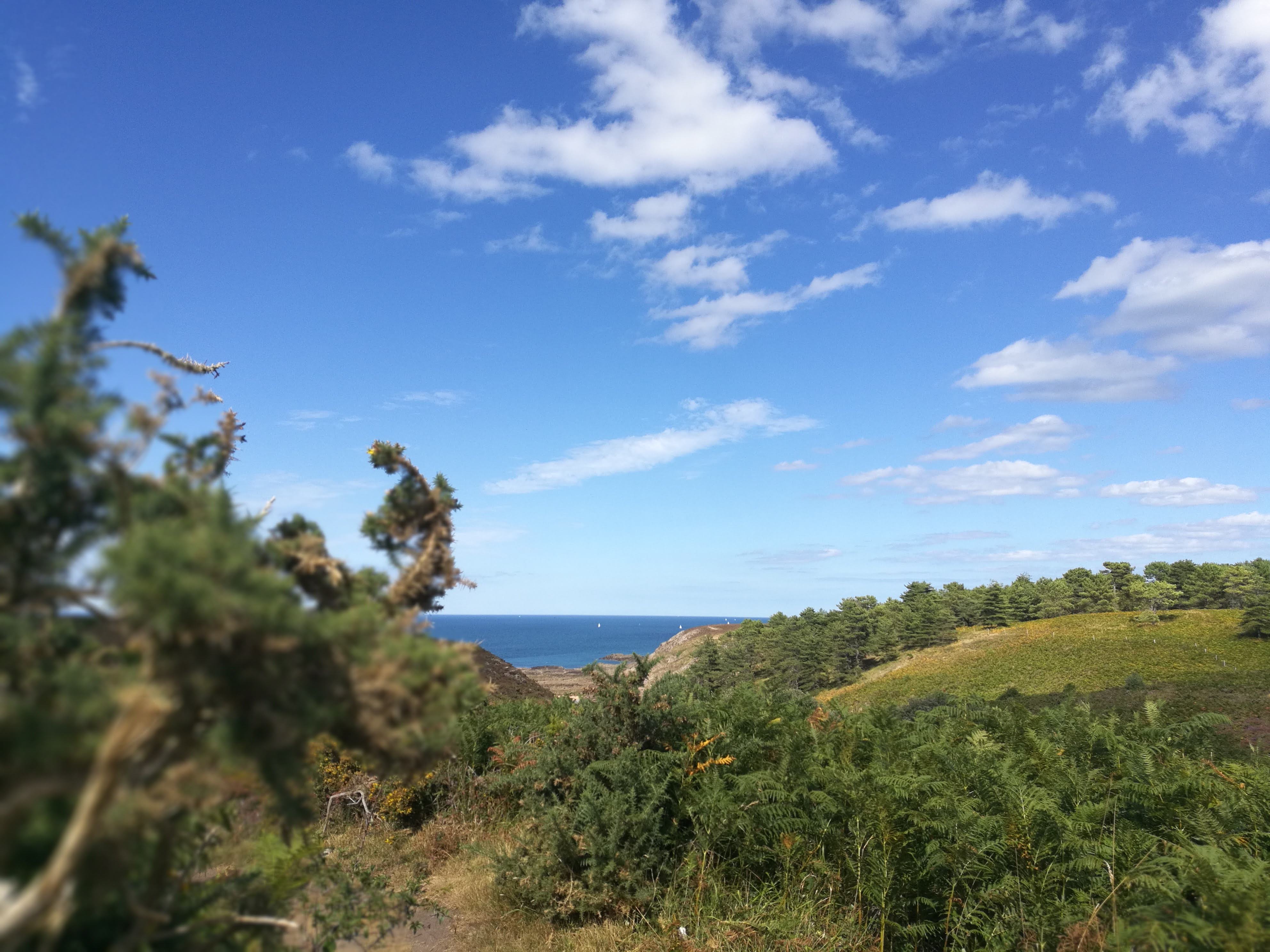 Photo n° 1 de l'avis de Julien.� fait le 15/08/2020 à 19:34