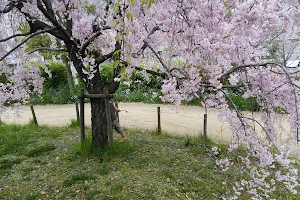 Maruhashi Park image