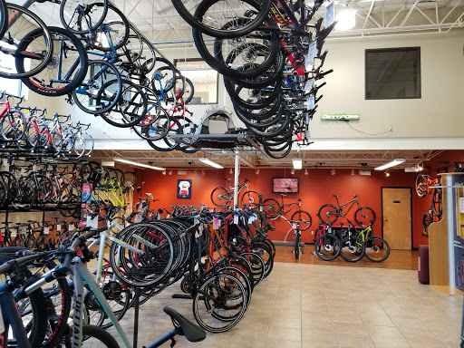 Bicycle Store «Plano Cycling & Fitness», reviews and photos, 605 18th St, Plano, TX 75074, USA