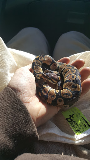 Pet Store «Fish Bowl», reviews and photos, 2117 E Race Ave, Searcy, AR 72143, USA