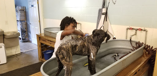 Pet Supply Store «Wags & Whiskers - West Nashville», reviews and photos, 3731 Charlotte Ave, Nashville, TN 37209, USA