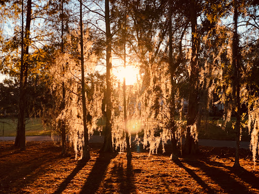 Country Club «Palma Ceia Golf & Country Club», reviews and photos, 1601 S MacDill Ave, Tampa, FL 33629, USA