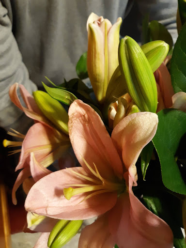 Florist «Petals With Style», reviews and photos, 117 S West End Ave, Lancaster, PA 17603, USA