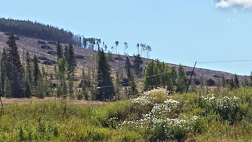 Golf Course «Keystone Ranch Golf Course», reviews and photos, 1239 Keystone Ranch Rd, Keystone, CO 80435, USA