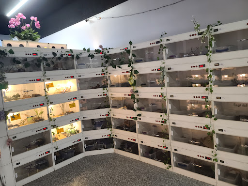 Reptile Empress Exotic Pets & Supplies