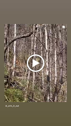 Bicycle Store «Fresh Bike Service, Inc», reviews and photos, 1575 Old Alabama Rd Suite 209, Roswell, GA 30076, USA