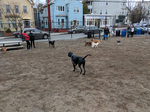 Park «Nunziato Field Dog Park», reviews and photos, Putnam St, Somerville, MA 02143, USA