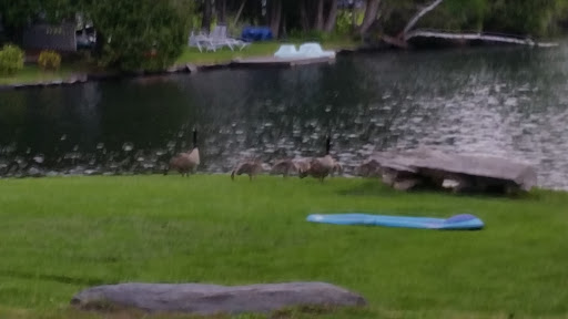 General Store «Barnard General Store», reviews and photos, 6231 VT-12, Barnard, VT 05031, USA