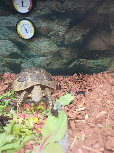 Pet Supply Store «Petco Animal Supplies», reviews and photos, 993 Branson Hills Pkwy, Branson, MO 65616, USA