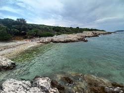 Plaza Elenona'in fotoğrafı vahşi alan
