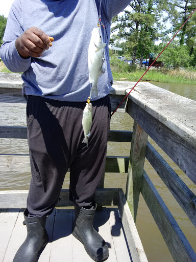 Fishing Store «Surf & Turf Outdoor Sports», reviews and photos, 18501 Eltham Rd, West Point, VA 23181, USA