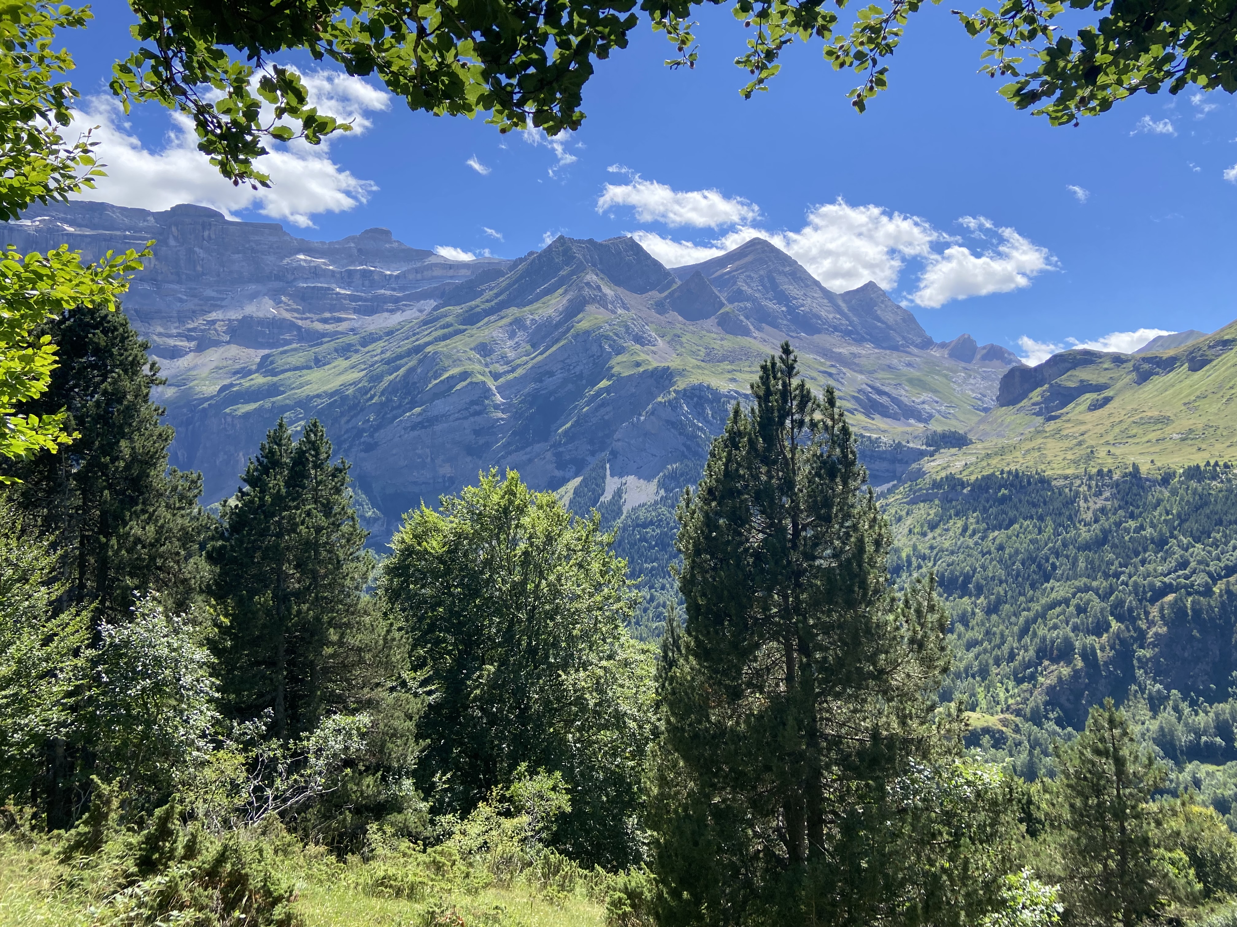 Photo n° 5 de l'avis de Nadia.R fait le 27/07/2023 à 16:52