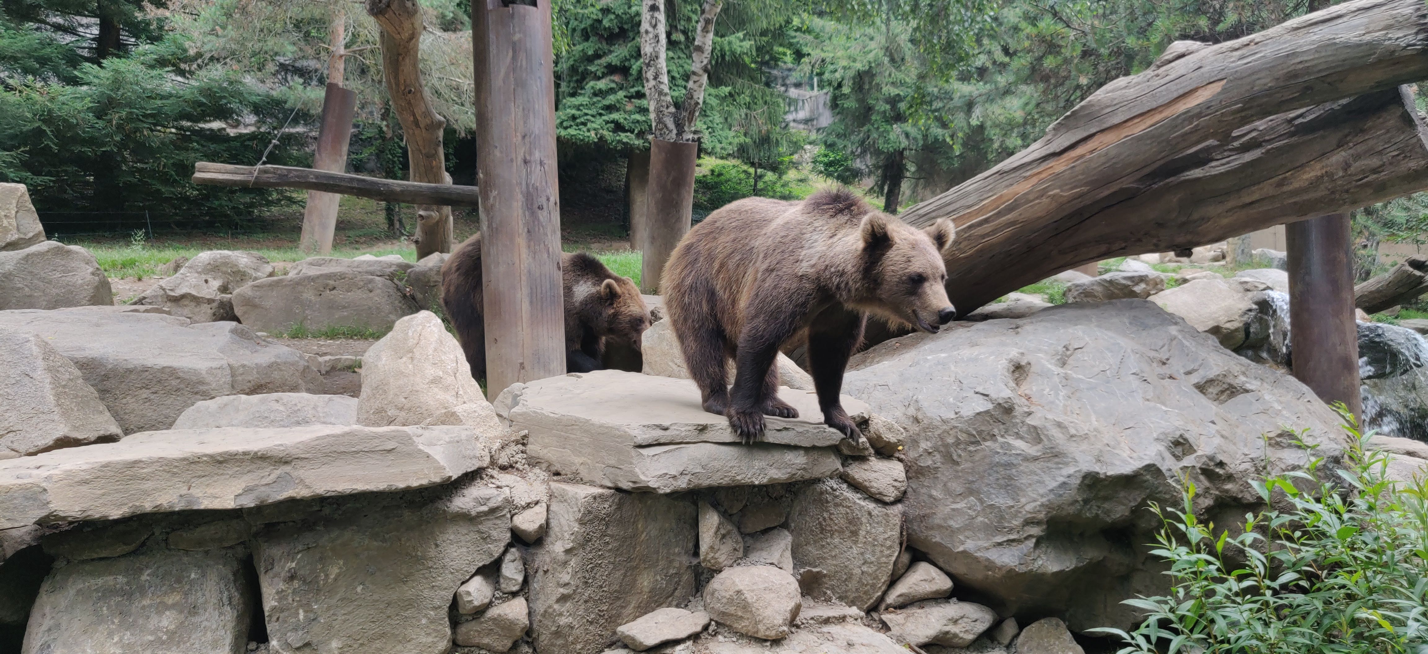 Photo n° 14 de l'avis de Frédéric.o fait le 15/11/2022 à 09:50