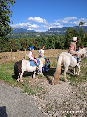 Les Ecuries du Parc à La Biolle