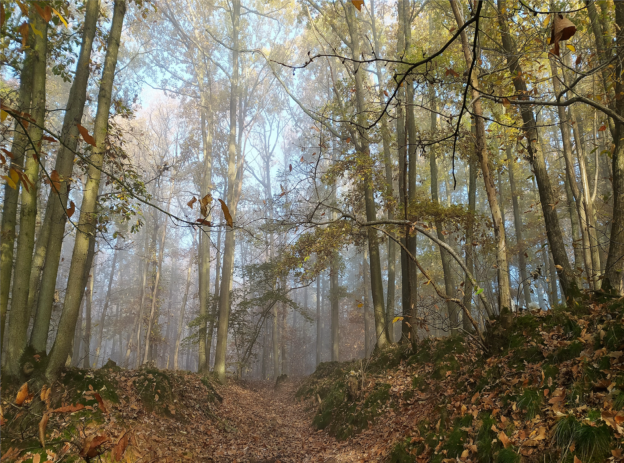 Photo n° 13 de l'avis de François. fait le 21/11/2021 à 12:37