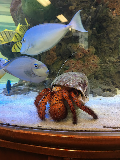 Pet Store «Pet World», reviews and photos, 891 Harriman Pl, San Bernardino, CA 92408, USA