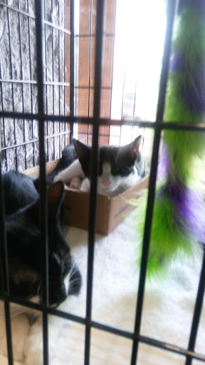 Pet Supply Store «Pet Valu», reviews and photos, 411 Valley Brook Ave, Lyndhurst, NJ 07071, USA