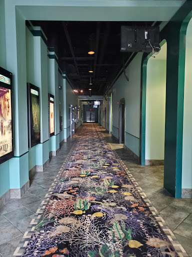 Movie Theater «Citadel Mall Stadium 16 with IMAX», reviews and photos, 2072 Sam Rittenberg Blvd, Charleston, SC 29407, USA