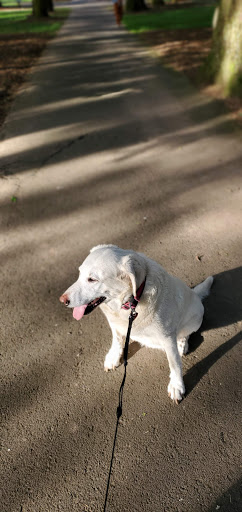 Park «Mt. Scott Park», reviews and photos, SE 72nd Ave & Southeast Harold Street, Portland, OR 97206, USA