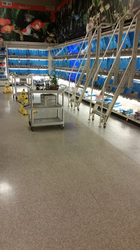 Pet Supply Store «PetSmart», reviews and photos, 1196 W Olive Ave, Merced, CA 95348, USA