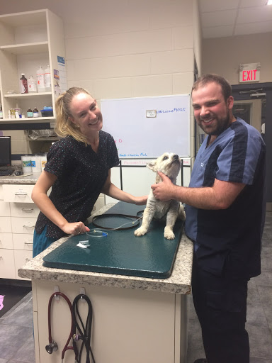 Buck Animal Hospital image