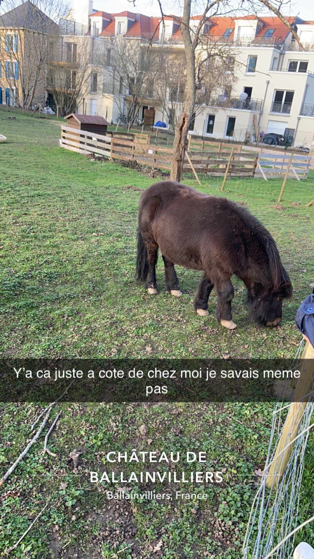 Photo n° 1 de l'avis de Mounir.a fait le 17/02/2024 à 17:58
