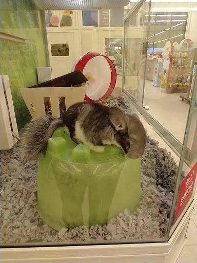 Pet Supply Store «PetSmart», reviews and photos, 1520 Pleasant Valley Rd, Manchester, CT 06042, USA