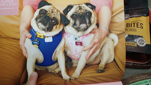 Pet Supply Store «Petco Animal Supplies», reviews and photos, 225 Maple Ave E, Vienna, VA 22180, USA