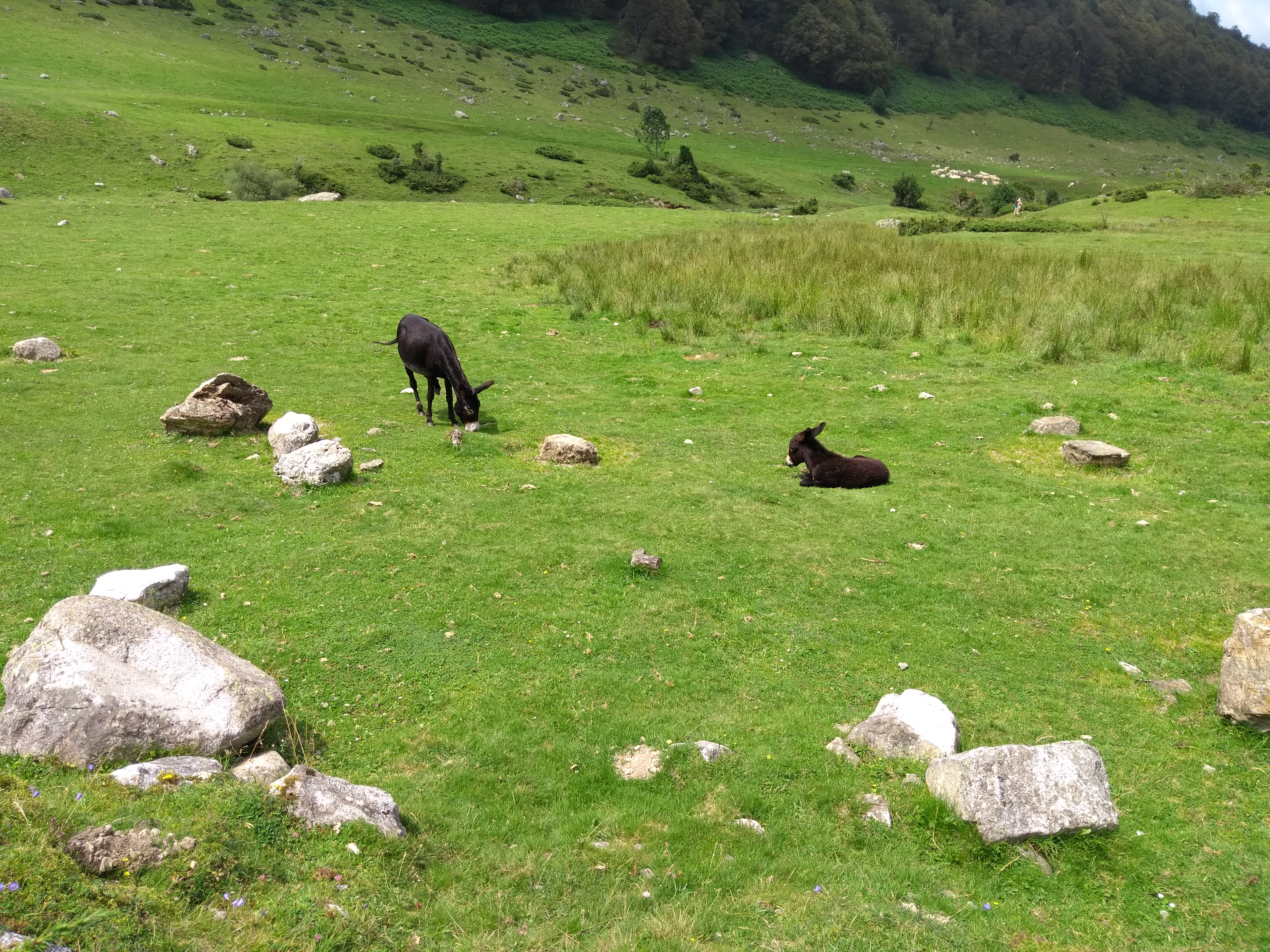 Photo n° 7 de l'avis de King.t fait le 17/07/2019 à 08:25