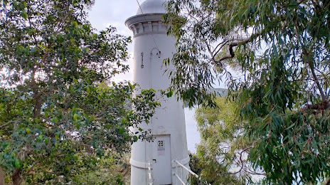 Plasterer in The Spit, QLD, Australia