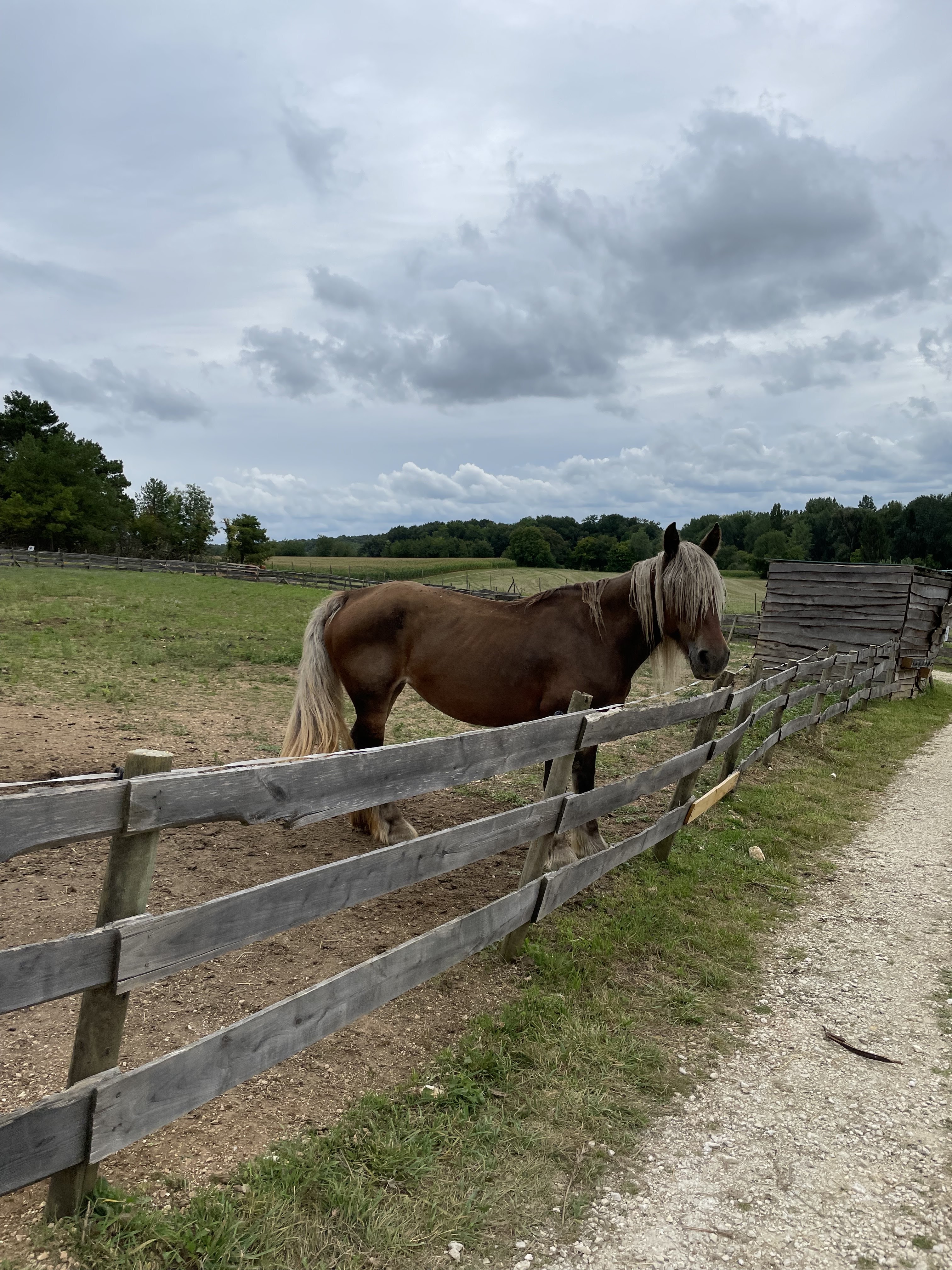 Photo n° 3 de l'avis de Saïd.l fait le 03/08/2021 à 16:42