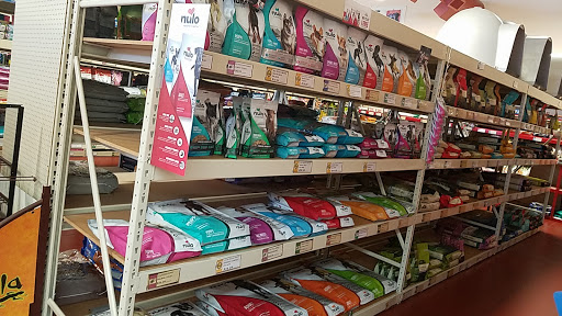 Pets «Pet Headquarters», reviews and photos, 2710 N Glassford Hill Rd, Prescott Valley, AZ 86314, USA