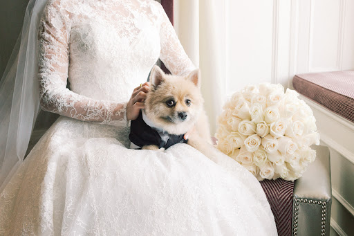 Bridal Shop «Allegria Bridal», reviews and photos, 285 Belmont St, Belmont, MA 02478, USA