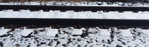 Museum «Ellicott City B & O Railroad», reviews and photos, 2711 Maryland Ave, Ellicott City, MD 21043, USA