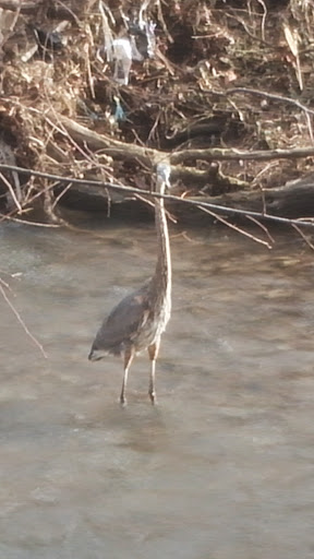 Park «Cherokee Park», reviews and photos, 745 Cochran Hill Rd, Louisville, KY 40206, USA