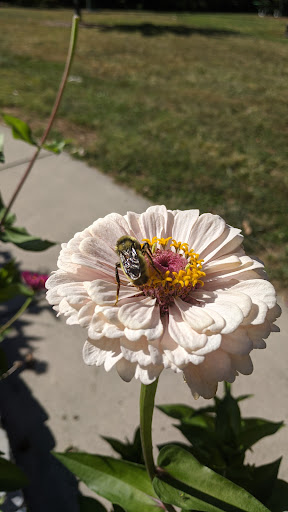 Park «Burnet Woods», reviews and photos, 3251 Brookline Ave, Cincinnati, OH 45220, USA