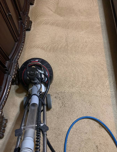 Hayward Carpet & Upholstery Cleaning