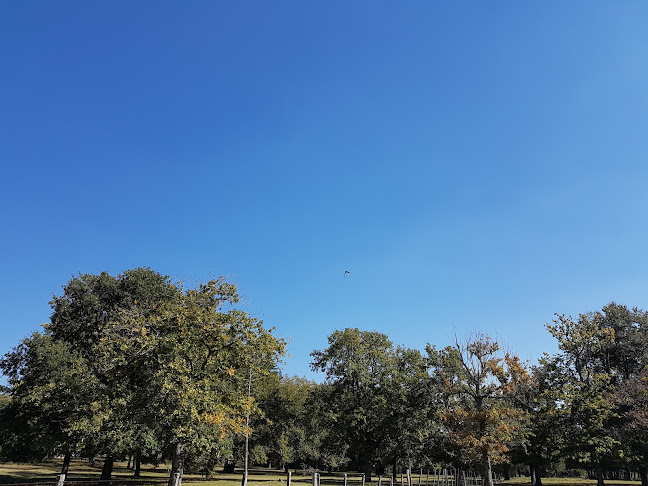 Opiniones de Parque Forestal Joaquín Suarez (BSE) en Joaquín Suárez - Banco