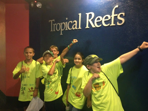 Aquarium «Team ECCO Ocean Center & Aquarium», reviews and photos, 511 N Main St, Hendersonville, NC 28792, USA