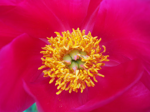 Nature Preserve «Kishwauketoe Nature Conservancy», reviews and photos, 251 Elkhorn Rd, Williams Bay, WI 53191, USA