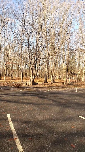 Hillandale Park - photo 52
