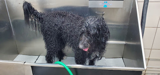 Pet Supply Store «Pet Supplies Plus», reviews and photos, 9430 W 159th St, Orland Park, IL 60467, USA