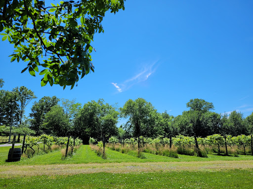 Winery «Cream Ridge Winery», reviews and photos, 145 County Rd 539, Cream Ridge, NJ 08514, USA