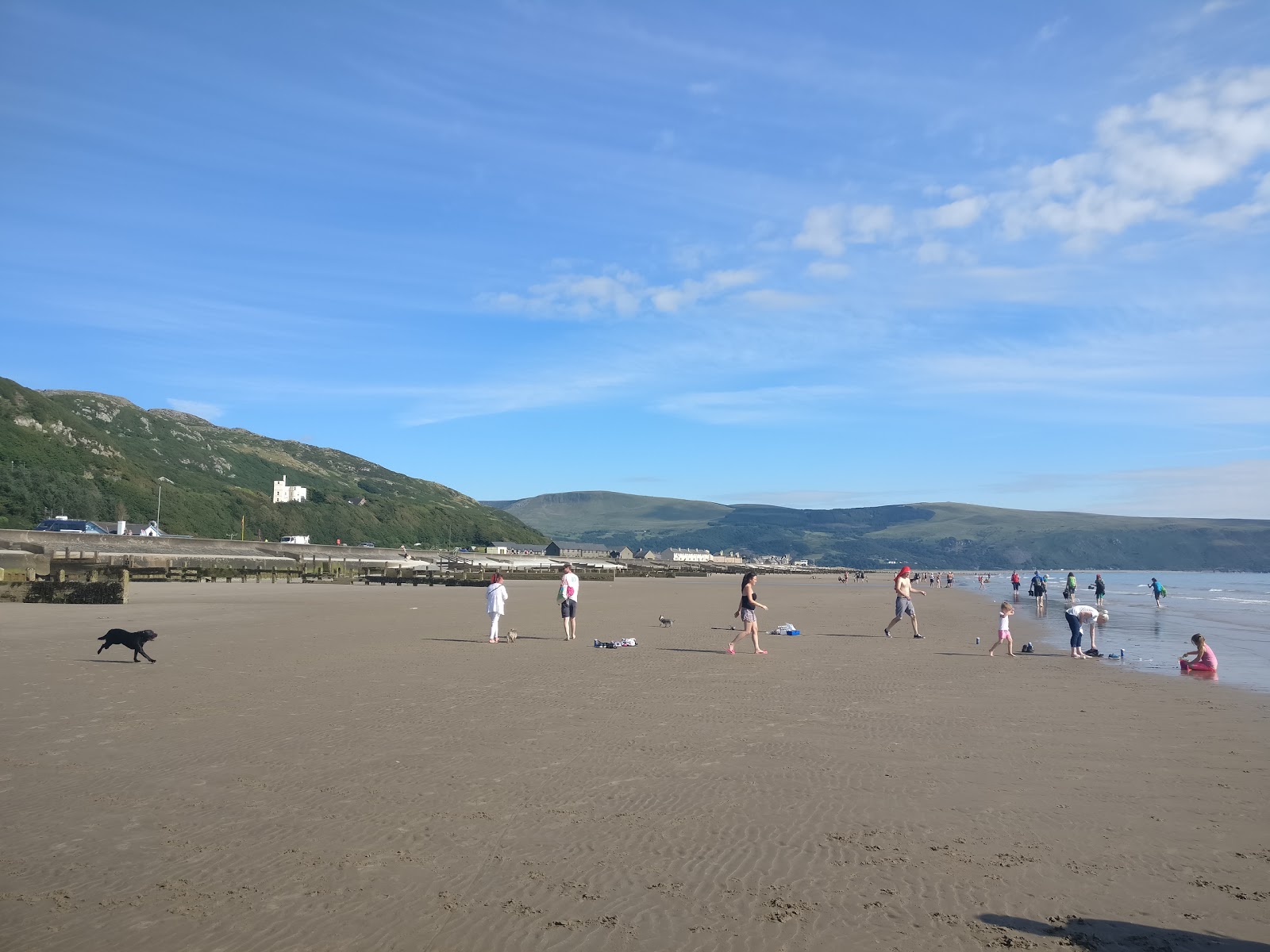 Φωτογραφία του Traeth Abermaw beach με φωτεινή άμμος επιφάνεια