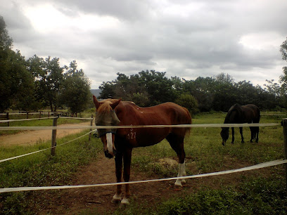 Zonnehoeve Equestrian Centre