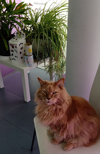 Clínica Veterinaria Alovera en Alovera